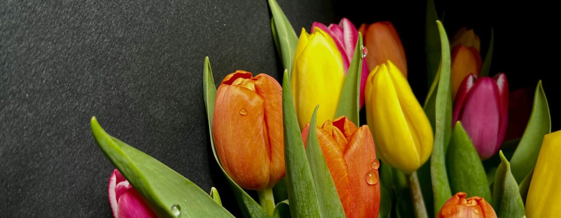 Un regalo para el Día de la Mujer que nunca falla 🌷