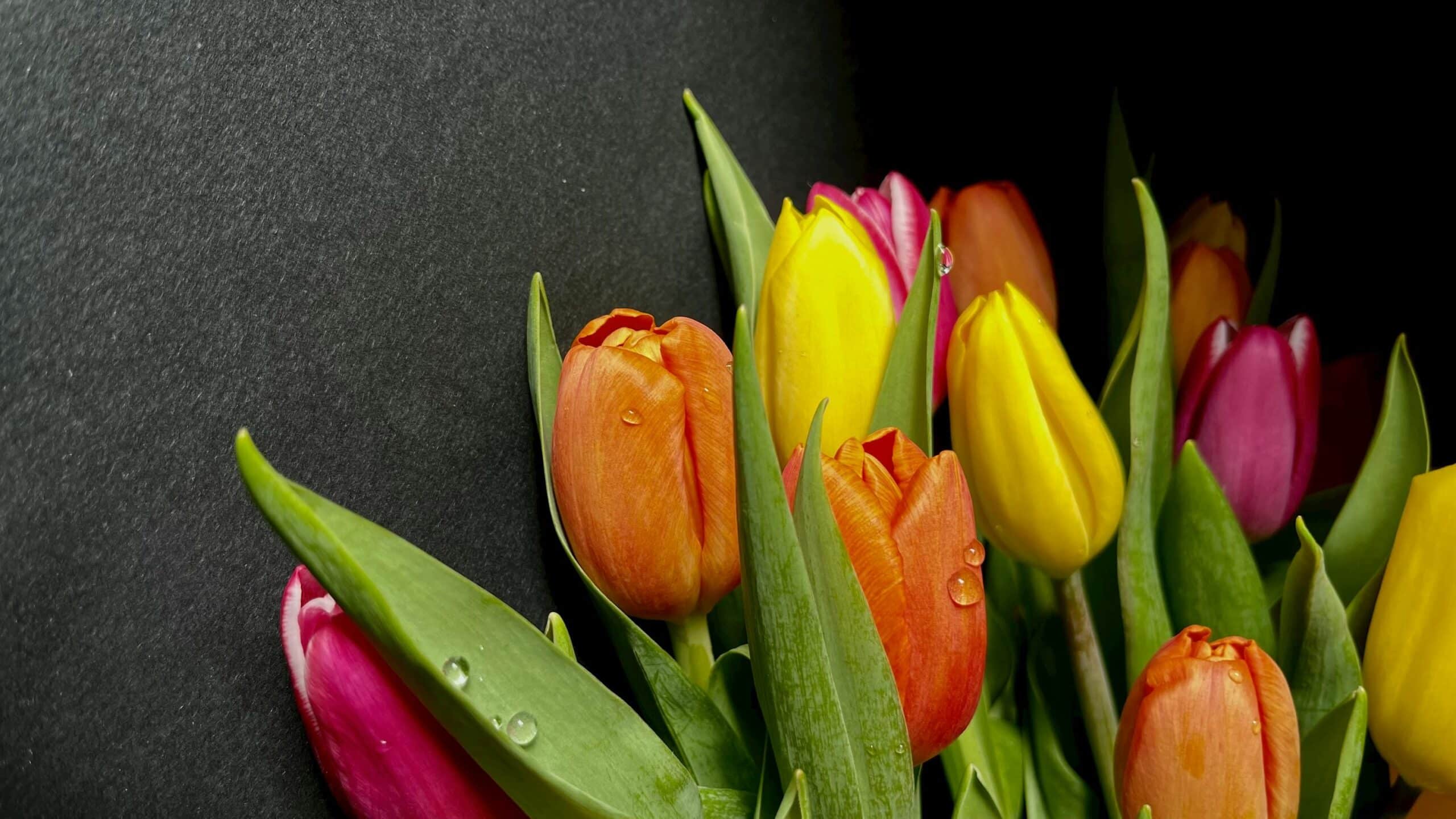 Un regalo para el Día de la Mujer que nunca falla 🌷